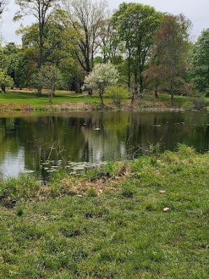 Francis William Bird Park