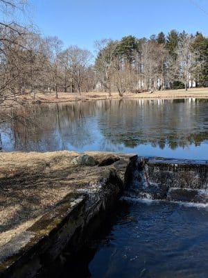 Francis William Bird Park