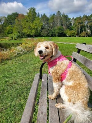 Francis William Bird Park