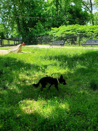 Easton Dog Park