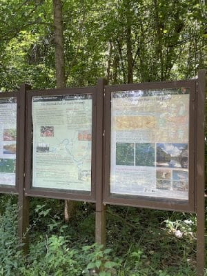 Fork Swamp Trailhead - Eastover, SC