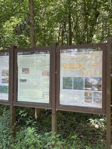 Fork Swamp Trailhead - Eastover, SC