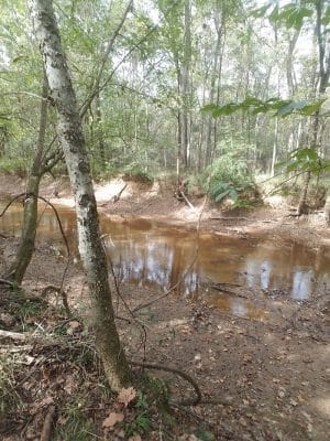 Fork Swamp Trailhead - Eastover, SC