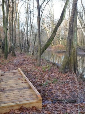 Fork Swamp Trailhead - Eastover, SC