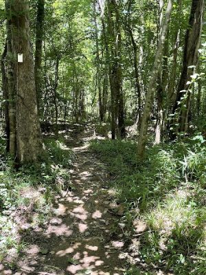 Fork Swamp Trailhead - Eastover, SC
