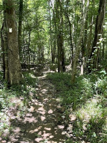 Fork Swamp Trailhead - Eastover, SC