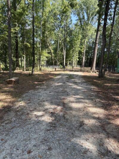 Butterflies & Blooms in the Briar Patch - Eatonton, GA