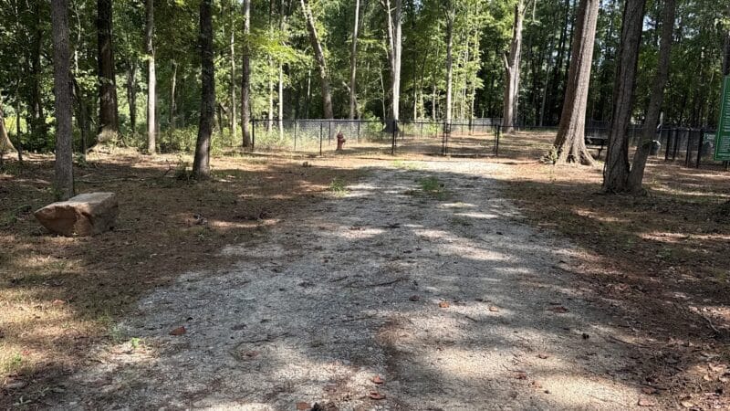 Butterflies & Blooms in the Briar Patch - Eatonton, GA