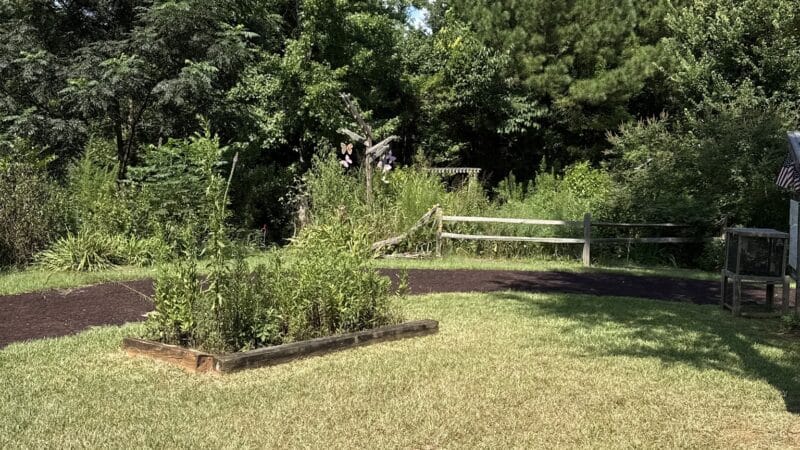 Butterflies & Blooms in the Briar Patch - Eatonton, GA