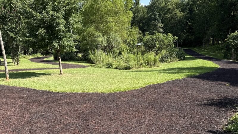 Butterflies & Blooms in the Briar Patch - Eatonton, GA