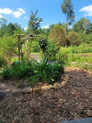 Briarpatch trail park