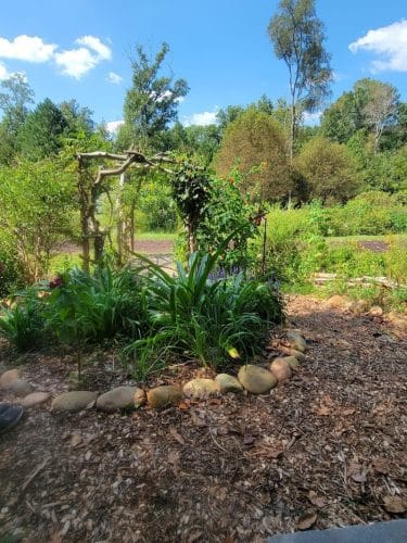 Briarpatch trail park
