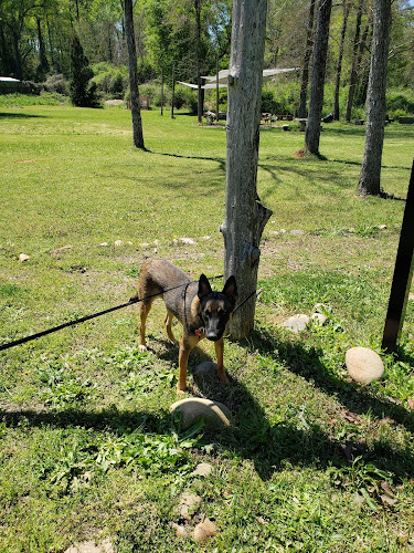Briarpatch trail park