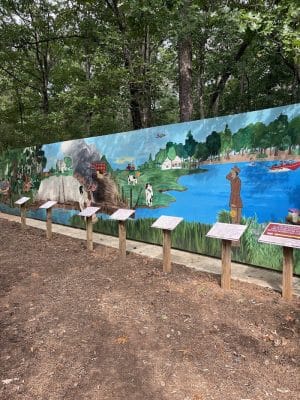 Rock Hawk - Eatonton, GA