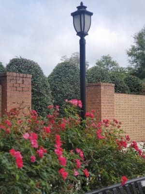 Veterans Wall of Honor Park