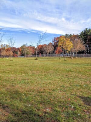 Otter Creek Off-Leash Dog Park