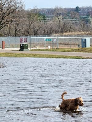 Southwest Dog Park