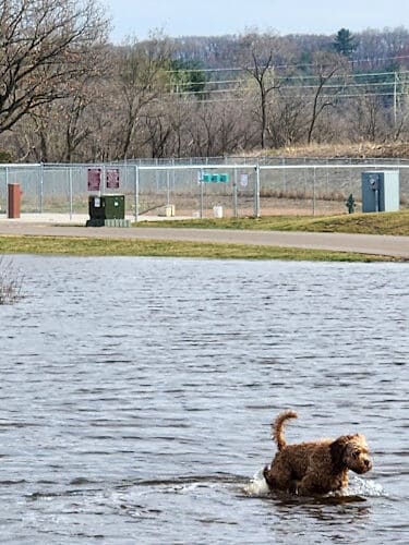 Southwest Dog Park