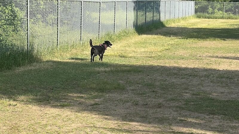 Otter Creek Off-Leash Dog Park - Eau Claire,