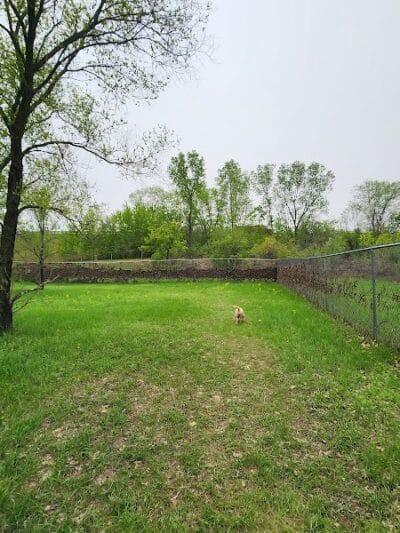 Southwest Dog Park - Eau Claire,