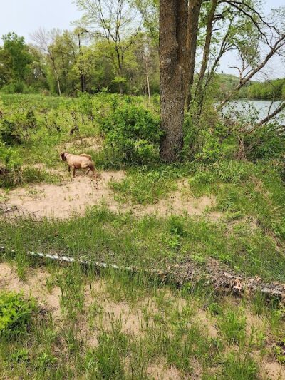 Southwest Dog Park - Eau Claire,