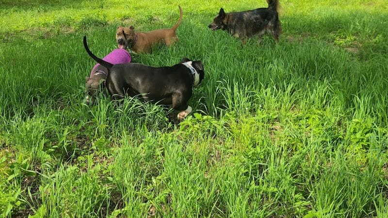 Southwest Dog Park - Eau Claire,