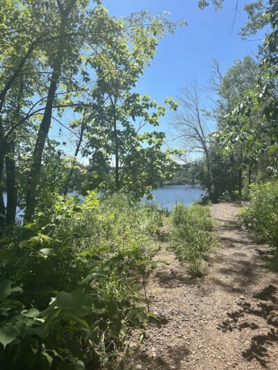 Southwest Dog Park - Eau Claire,