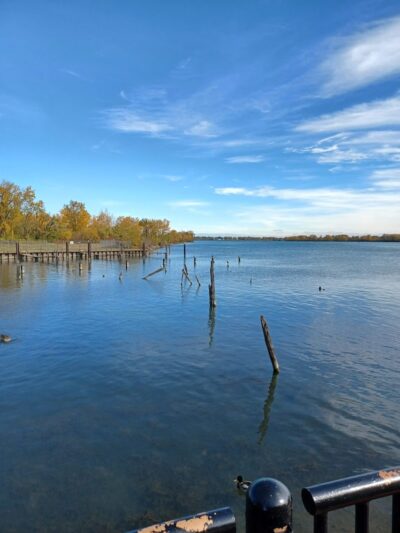 Dingell Park - Ecorse,