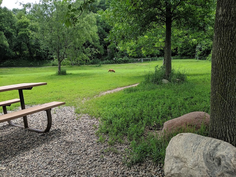 Bryant Lake Dog Park - Eden Prairie, MN