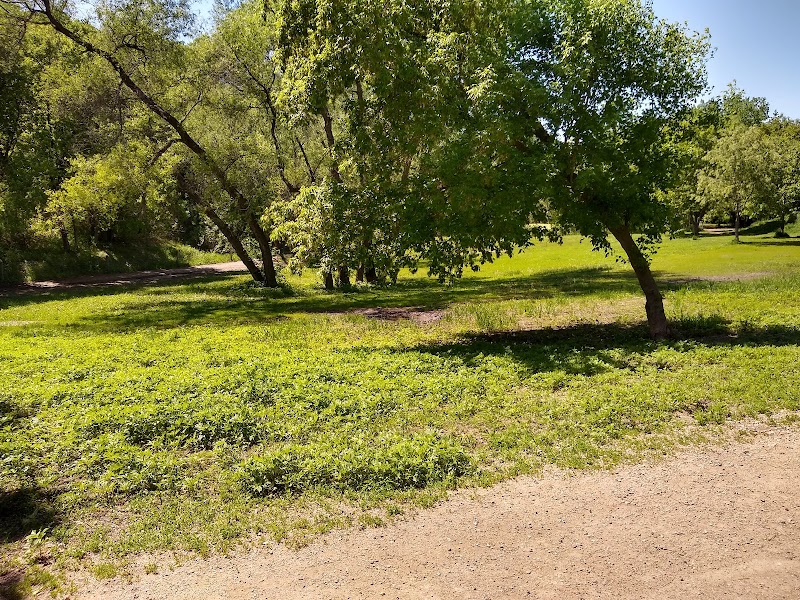 Bryant Lake Dog Park - Eden Prairie, MN