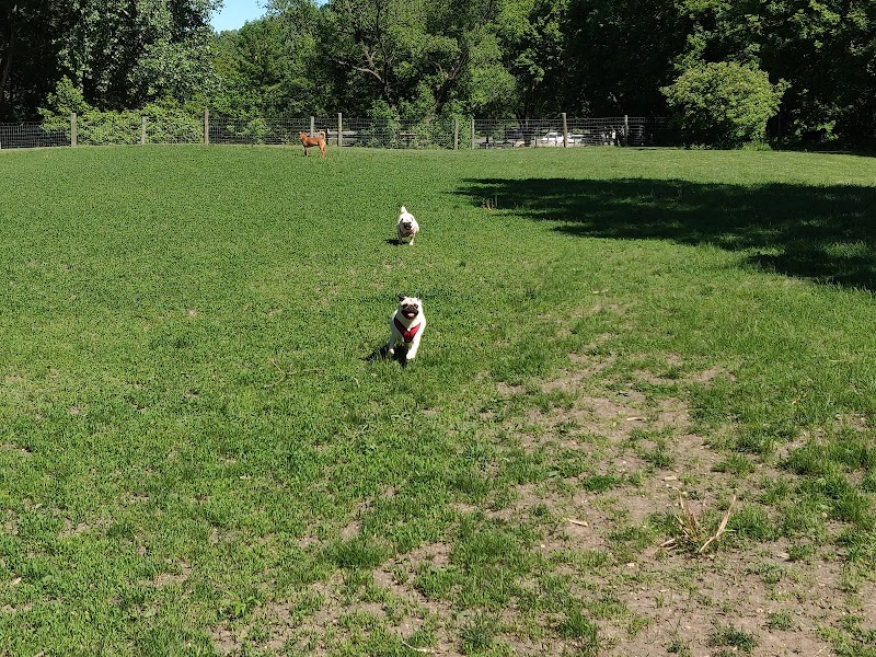 Bryant Lake Dog Park - Eden Prairie, MN