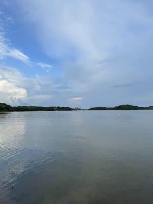 Bryant Lake Dog Park