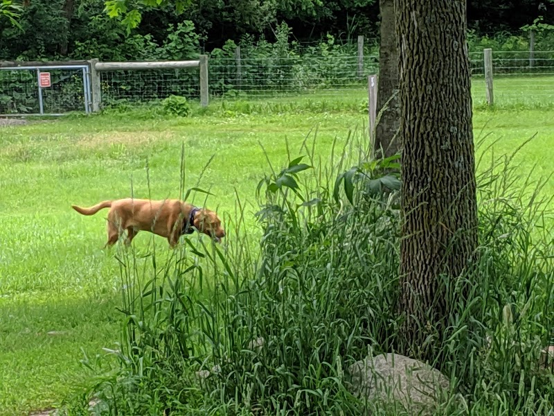 Bryant Lake Dog Park - Eden Prairie, MN