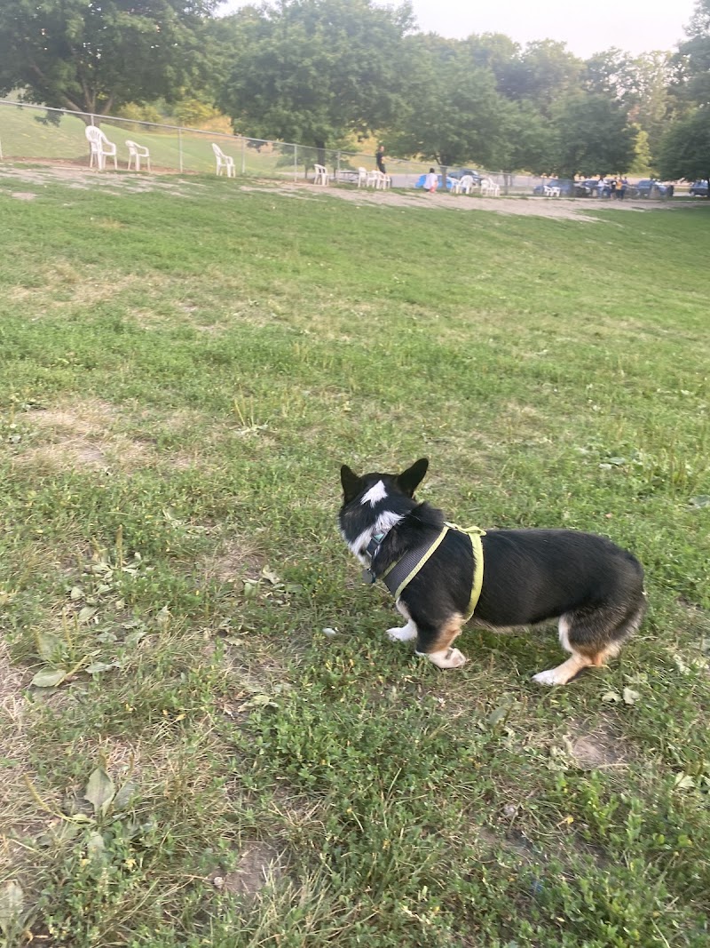 Edina Dog Park - Eden Prairie, MN