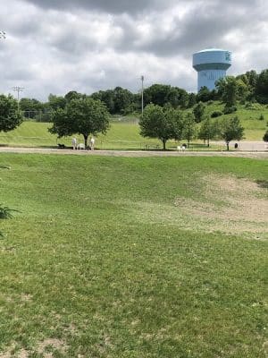 Edina Dog Park