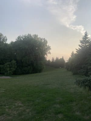 Edina Dog Park