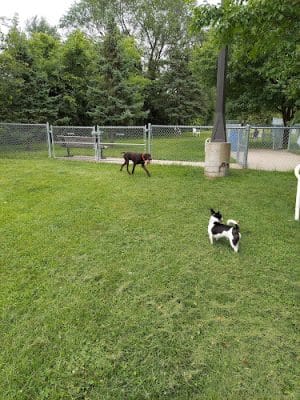Edina Dog Park