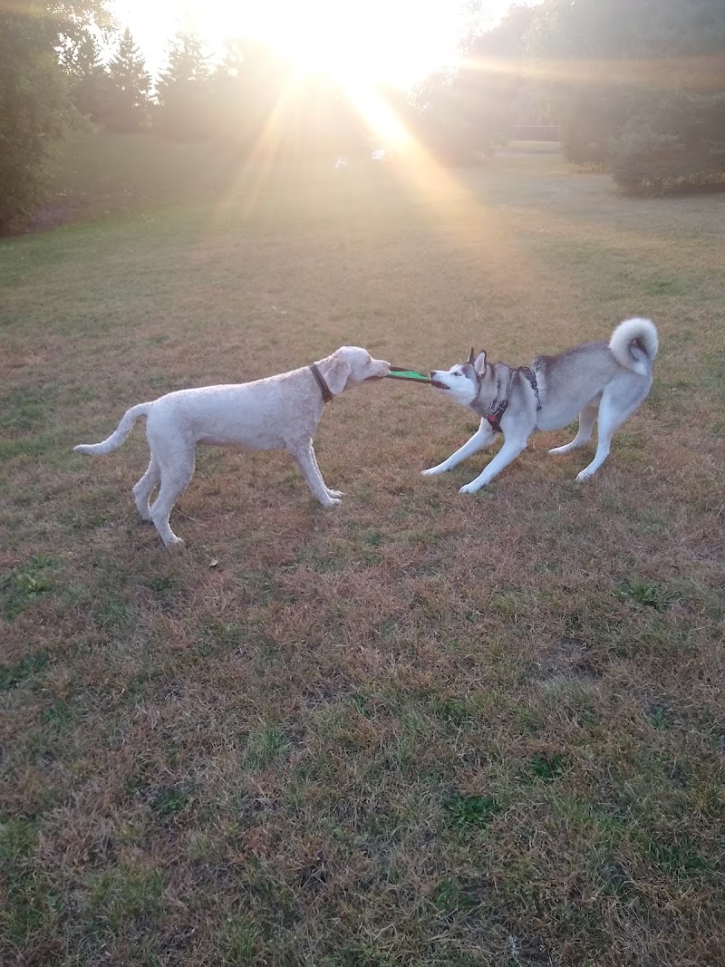 Edina Dog Park - Eden Prairie, MN