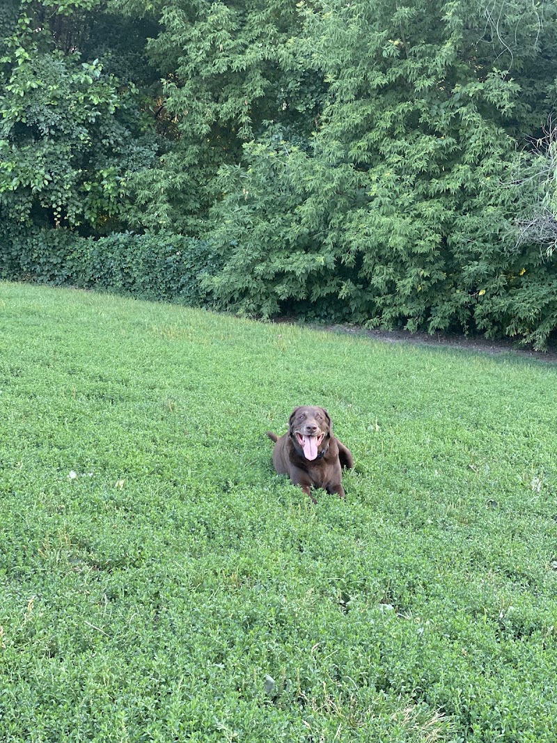 Edina Dog Park - Eden Prairie, MN