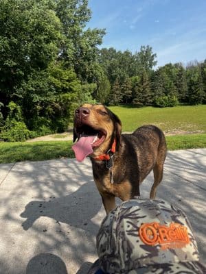 Edina Dog Park