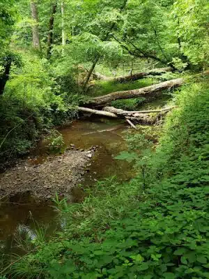 Horn Creek Trail Trailhead