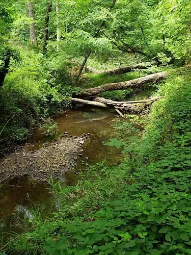 Horn Creek Trail Trailhead