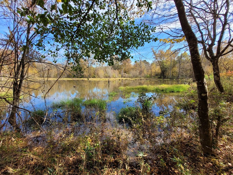 Horn Creek Trail Trailhead - Edgefield, SC