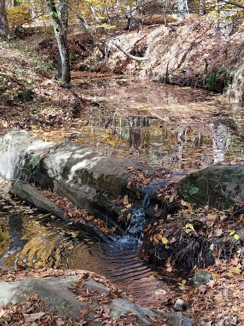 Horn Creek Trail Trailhead - Edgefield, SC