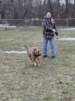 Edgerton Dog Park