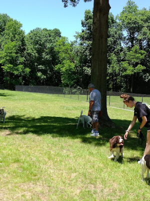 Edgewater Dog Park