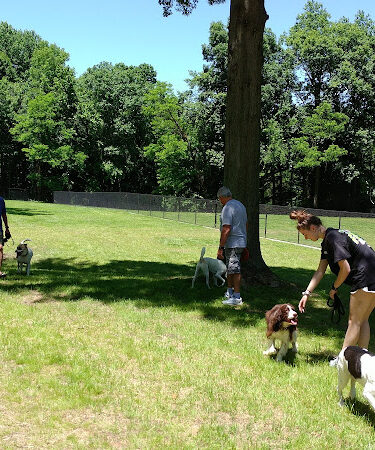 Edgewater Dog Park