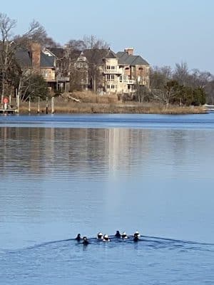 Edgewater Park