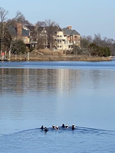 Edgewater Park
