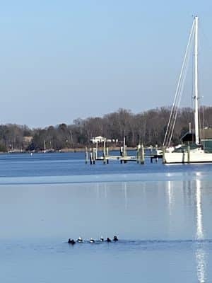 Edgewater Park